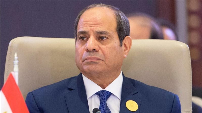 الرئيس السيسي، فيتو