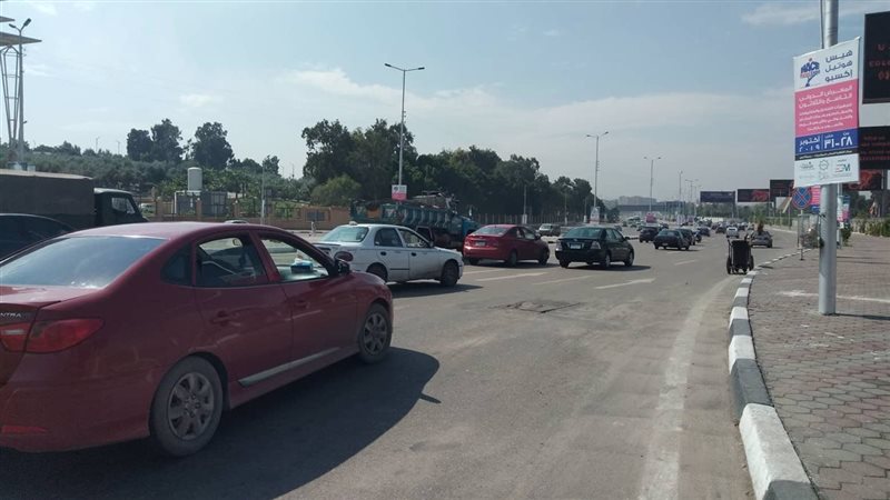 حالة الطقس غدا، فيتو