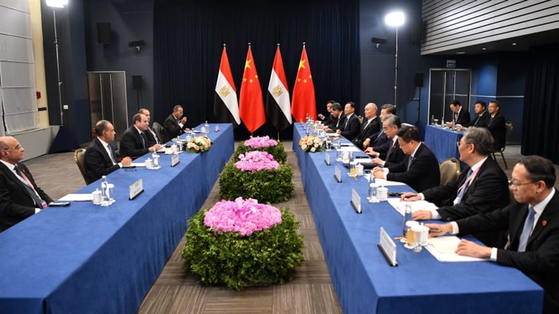 المباحثات المصرية