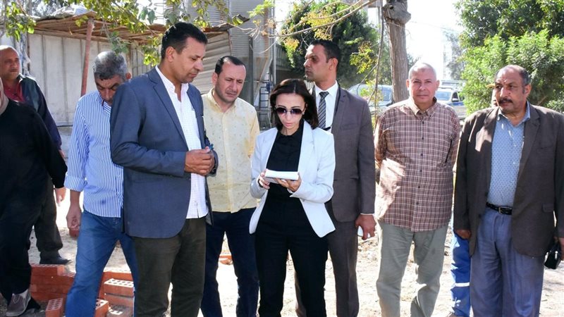 محافظ البحيرة، فيتو