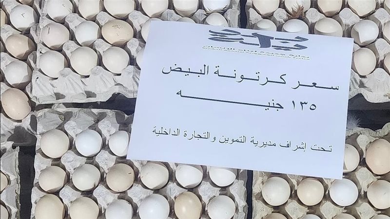 طرح كميات من البيض