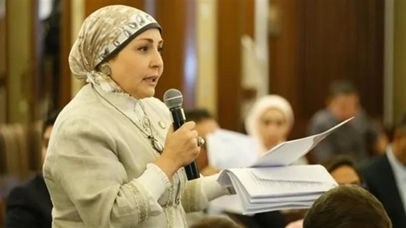 النائبه هالة أبو