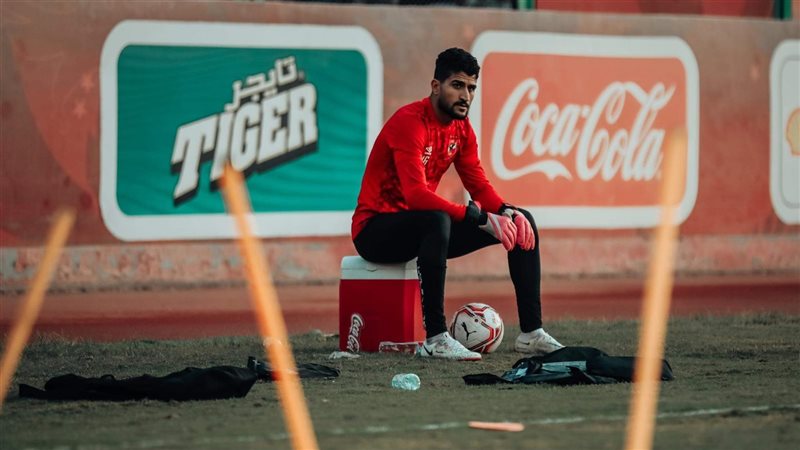 علي لطفي 