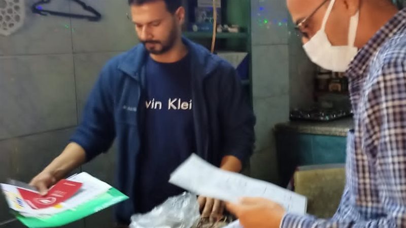 الاسكندريه