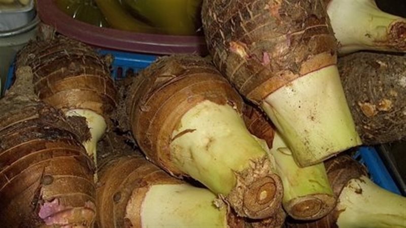 تفسير رؤية القلقاس