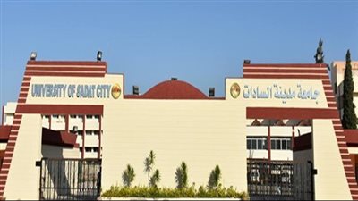حيثيات إلغاء قرار رئيس جامعة السادات بمجازاة أستاذ الطفولة المبكرة