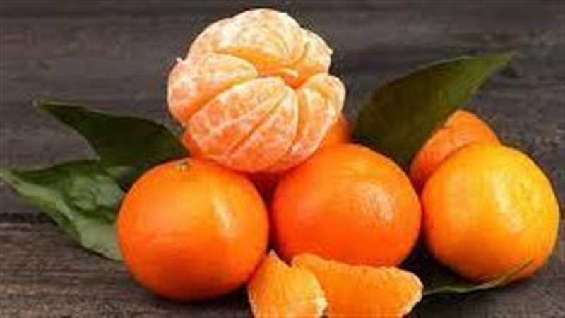  تفسير رؤية اليوسفي