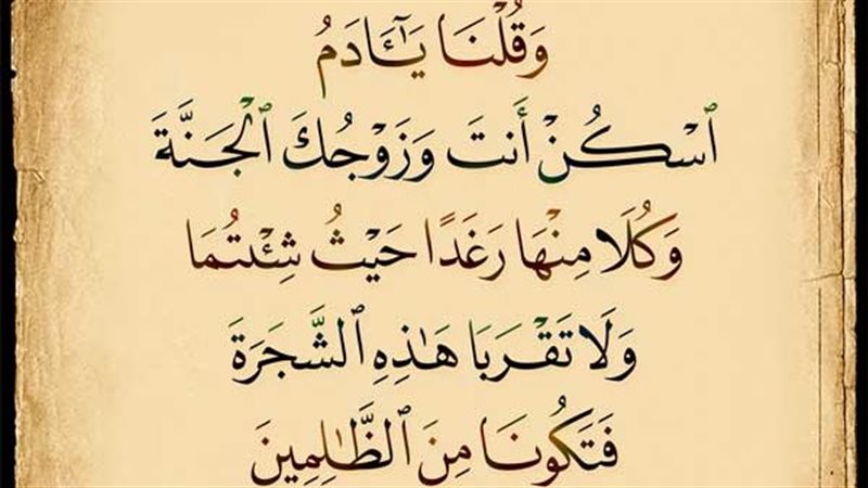 صفات أهل الجنة في
