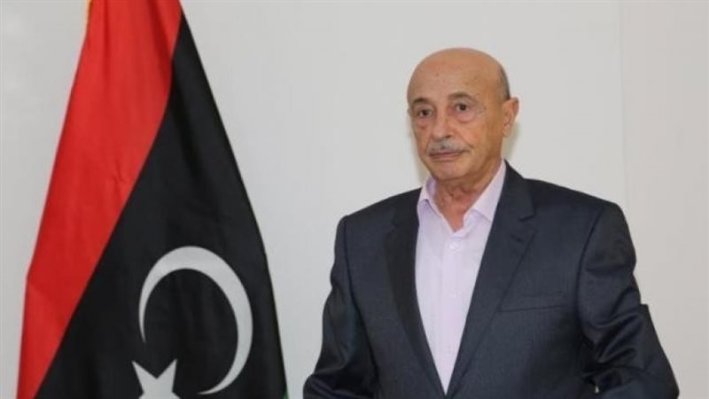 رئيس مجلس النواب