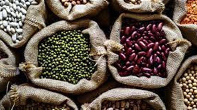 أسعار البقوليات اليوم