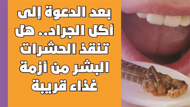 هل تنقذ الحشرات البشر