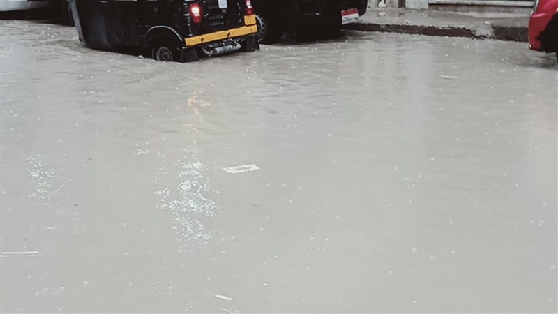 الاسكندريه