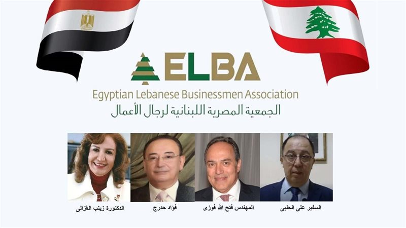 الجمعية المصرية اللبنانية