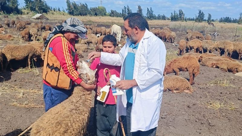 جانب من القافلة البيطرية