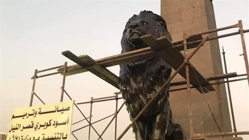 أسود قصر النيل 
