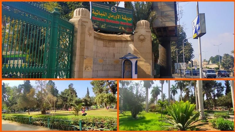 حديقة الأورمان، فيتو