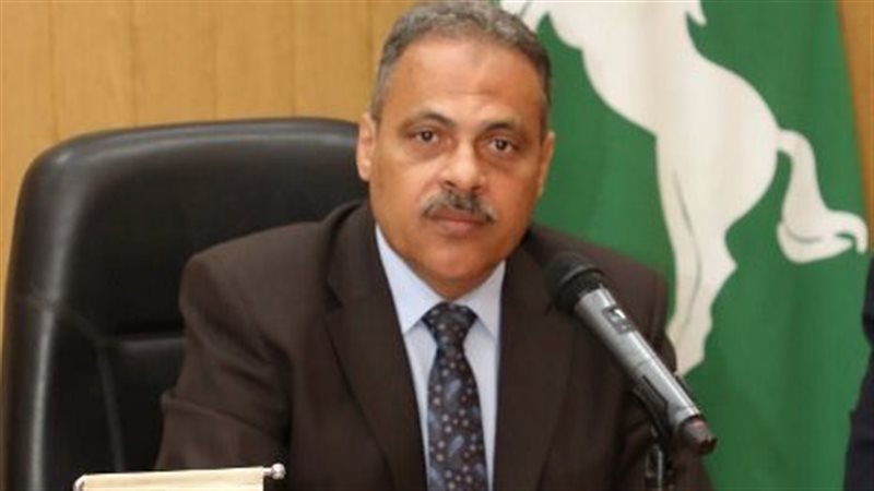 محافظ الشرقية 
