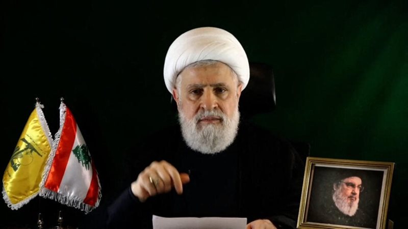 نعيم قاسم، فيتو