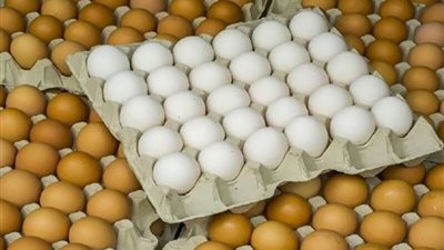 txt