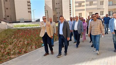 نائب رئيس 
