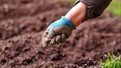 التضامن وتحالف العمل الأهلي والفاو يبحثون تدشين المرحلة الثالثة لمبادرة