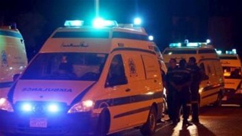 إصابة ربة منزل ونجليها