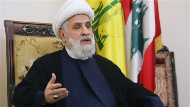 نعيم قاسم، فيتو 
