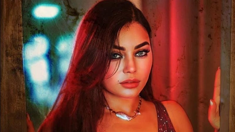هيفاء وهبي، فيتو