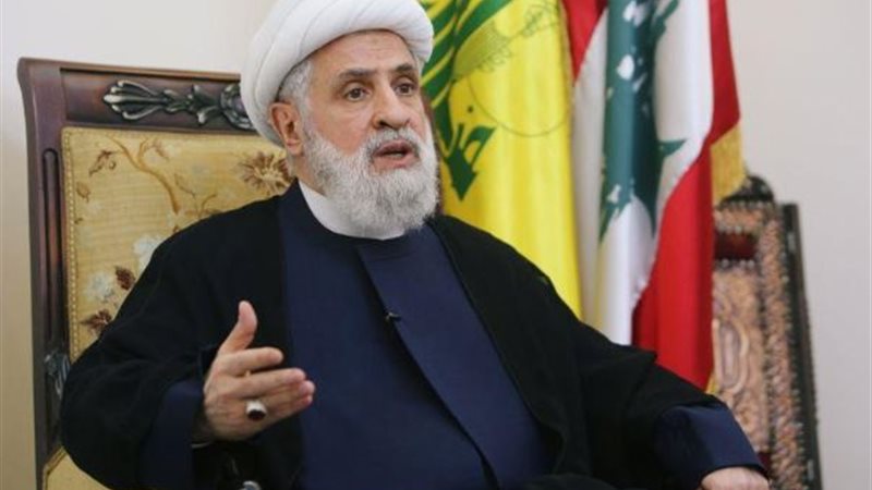 نعيم قاسم، فيتو 