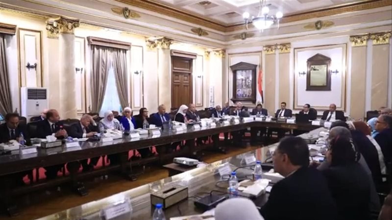 مجلس جامعة القاهرة،