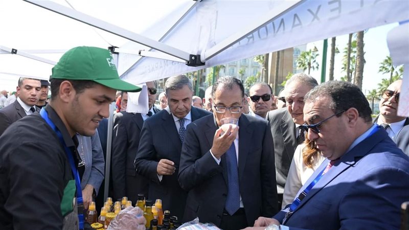 الإسكندرية 