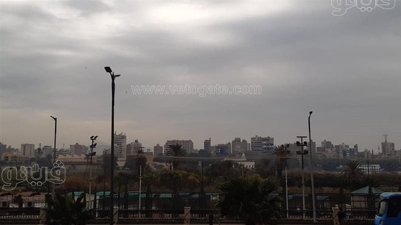 سقوط أمطار، فيتو