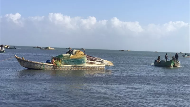 بحيرة البردويل، فيتو