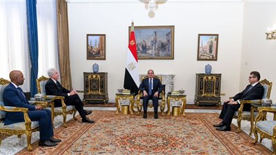آخر تطورات الجهود المصرية الأمريكية لوقف إطلاق النار بغزة ولبنان 