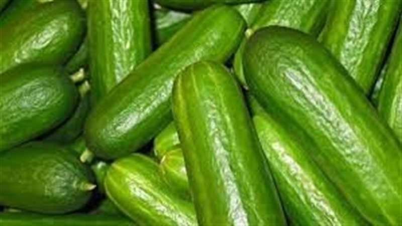 تفسير رؤية الخيار