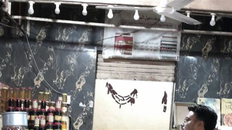 الإسكندرية، فيتو