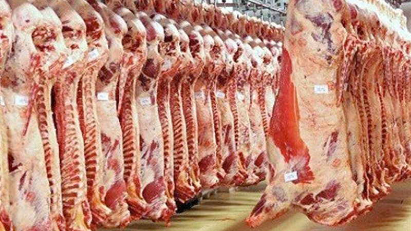 أسعار اللحوم الحمراء