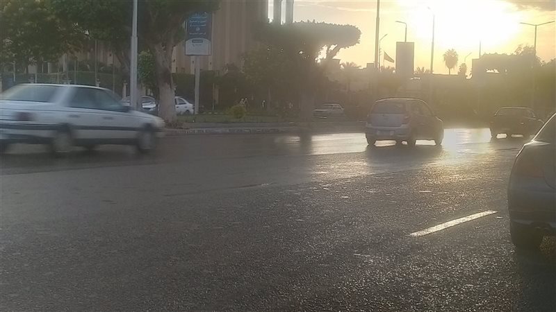 حالة الطقس غدا، فيتو