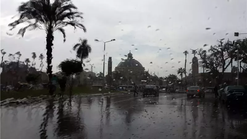 سقوط الأمطار،فيتو