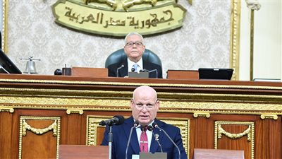 رئيس النواب: تعديلات قانون هيئة الشرطة تم عرضه على المجلس الأعلى