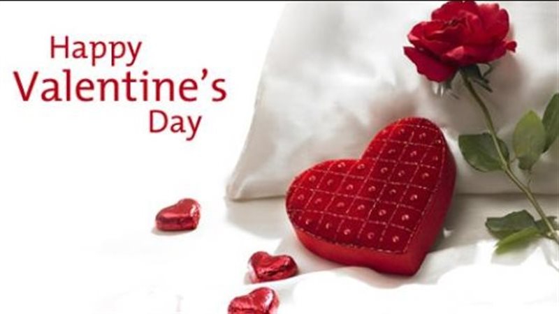 عيد الحب 