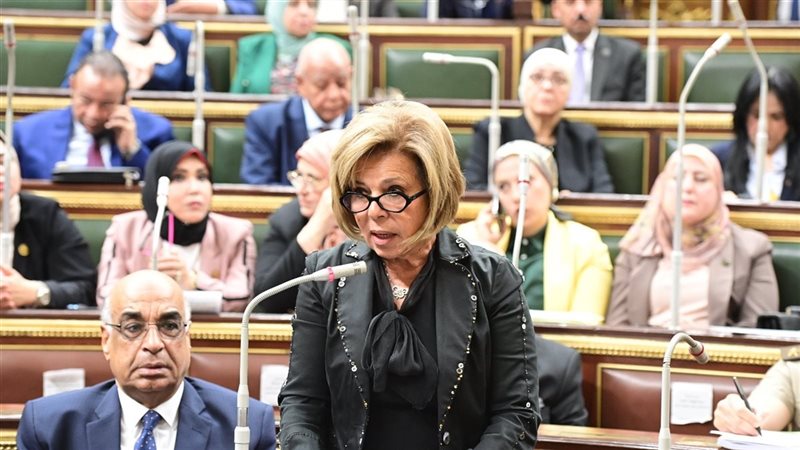 مشيرة خطاب أمام مجلس