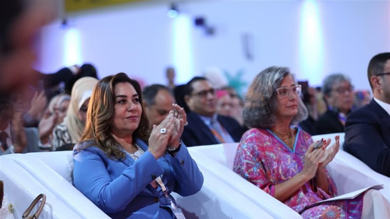 وزير التنمية المحلية،