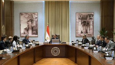 مدبولي يستعرض موقف مشروع سيراج لتوطين مكونات منتجات الإضاءة 