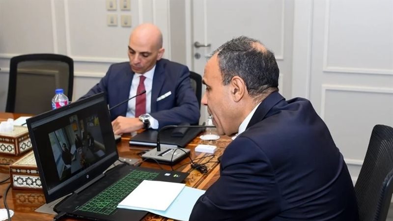 بدر عبد العاطي وزير