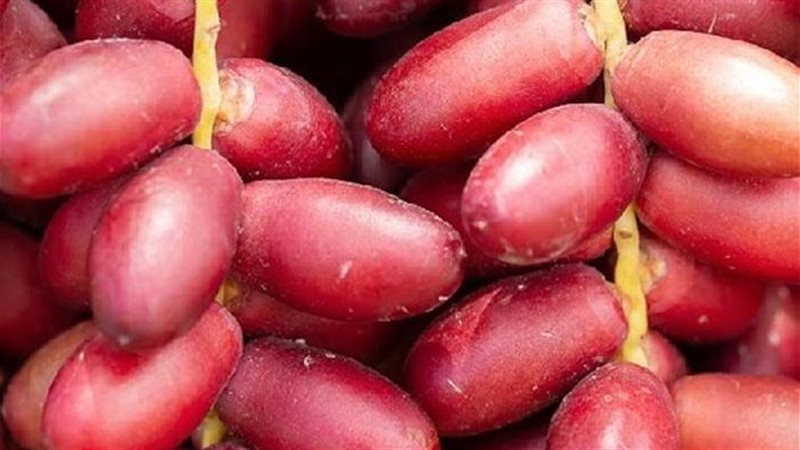 فوائد البلح الأحمر،