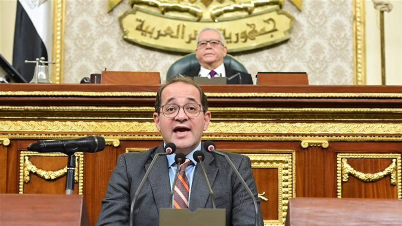 أحمد كجوك وزير المالية