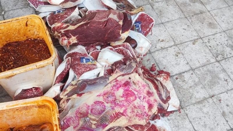 بيطرى سوهاج يضبط