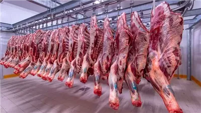 اللحوم الضاني تفاجئ الأسواق بزيادة جديدة، وهذا سعر الكيلو اليوم الخميس