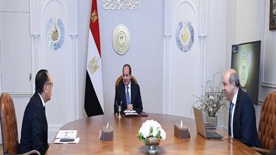 السيسي يوجه بتحفيز مشاركة القطاع الخاص في جهود تطوير قطاع الطيران